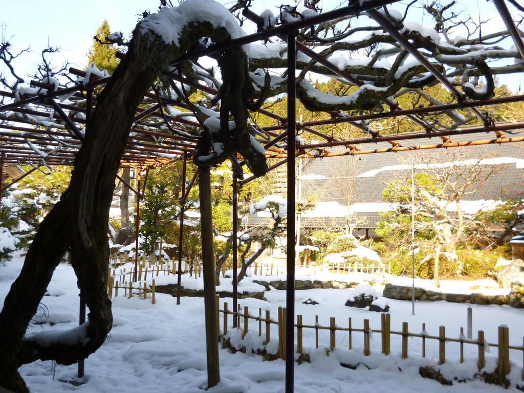 高野山 宿坊 熊谷寺 -Koyasan Shukubo Kumagaiji- Wakayama Exterior photo